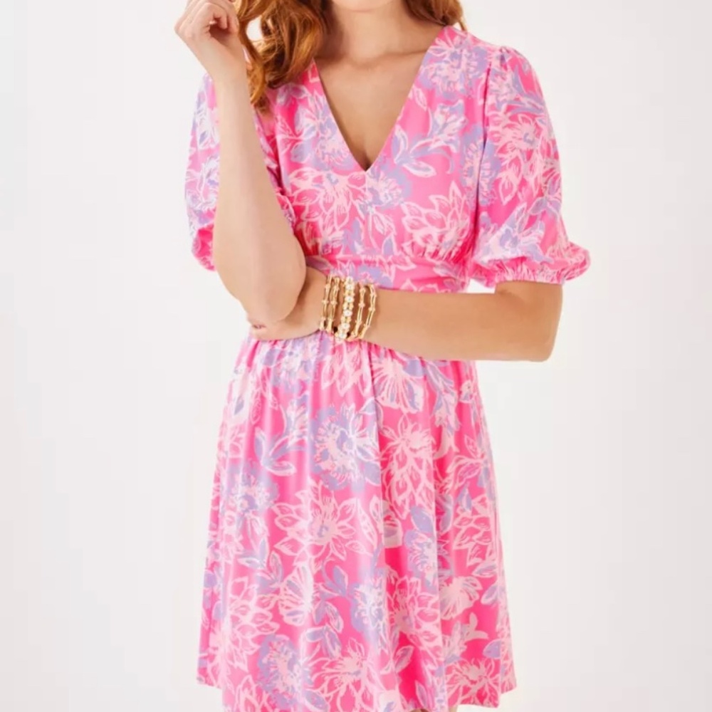 Lilly Pulitzer Brightan dress. NWT.
